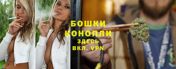 гидра Козловка