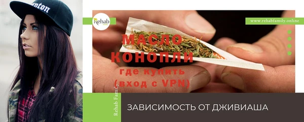 шишки Коряжма