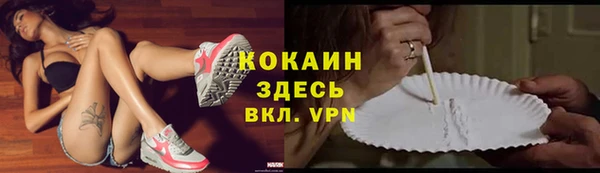 шишки Коряжма