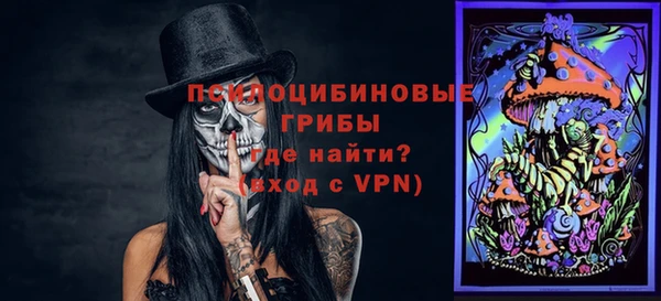 гидра Козловка