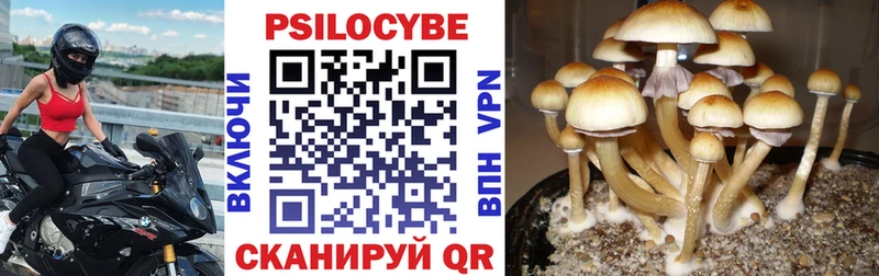 Псилоцибиновые грибы Cubensis  Ульяновск 